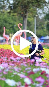 BIB:  <button type="button" onclick="openModal(27583249)" class="btn btn-primary btn-sm float-right" data-toggle="modal" data-target=".modal-high-quality">
                <i class="fa fa-download"></i> Download
                </button>